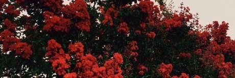 Naakte gelekte OnlyFans-foto van Miss Valentine