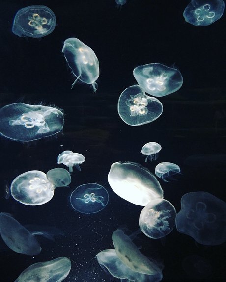 Обнаженная фотография утечки OnlyFans от Miss Asian  Kate