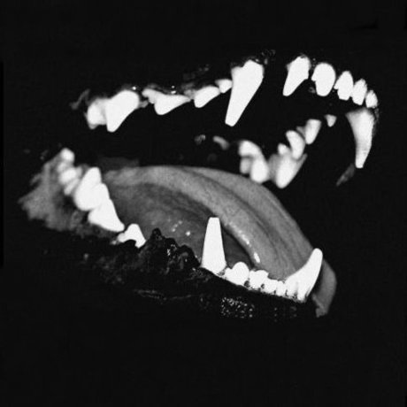 Moe naked leaks OnlyFans pic