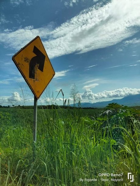 Nahá fotka uniklých OnlyFans od Java Face