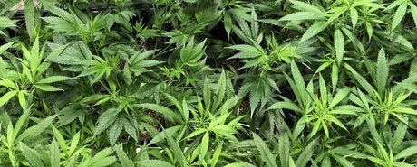 Nahá fotka uniklých OnlyFans od Kara Mel