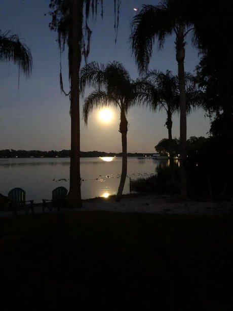 Naakte gelekte OnlyFans-foto van Kushqueen420