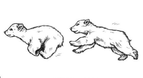 Nacktes geleaktes OnlyFans-Foto von Morbo 