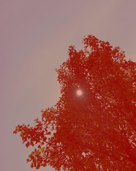 Photo nue de fuite OnlyFans de Monique 