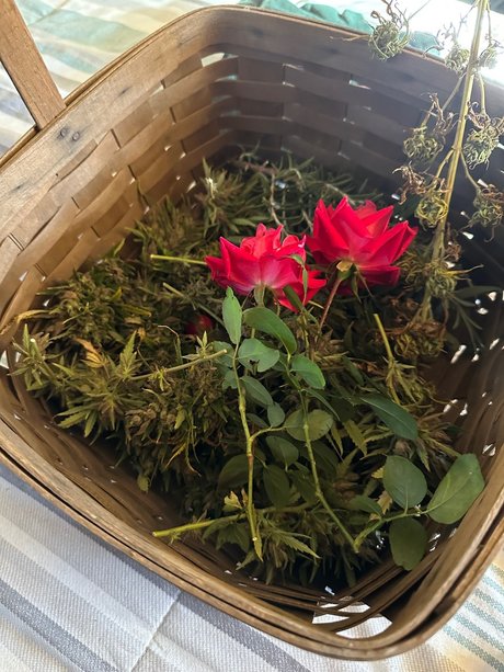 Foto di nudo di fuga di OnlyFans di Zander Rae