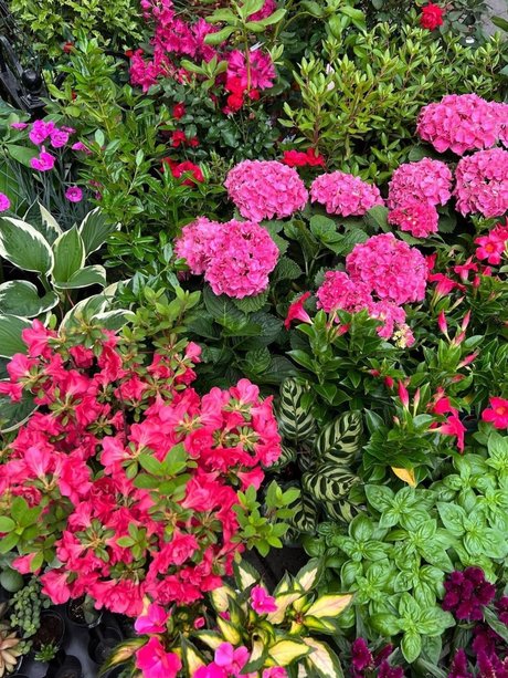 Foto di nudo di fuga di OnlyFans di Mr Creamz