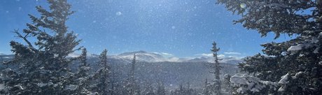 Naakte gelekte OnlyFans-foto van Alisha Dallas