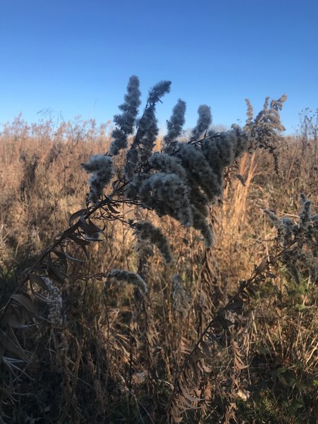 OnlyFans-model Harper