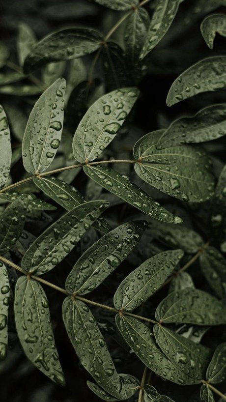 Alasti lekkinud OnlyFans-i pilt Msmaleficent