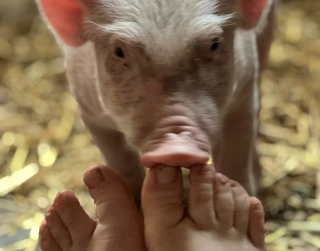 Alasti lekkinud OnlyFans-i pilt Dutchfarmgirl