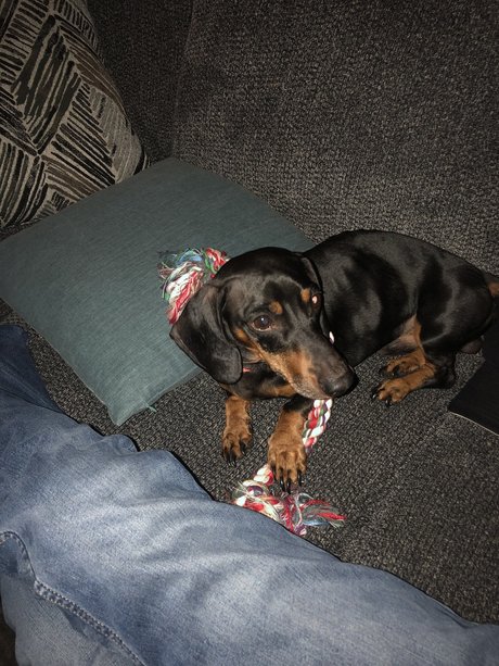 OnlyFans-model Daniel Gardner Jr