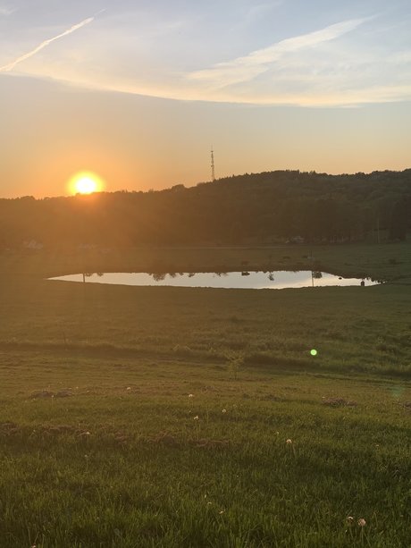 OnlyFans-model Graciebabie