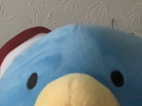 Naken läckt OnlyFans-bild av Micah Hehim