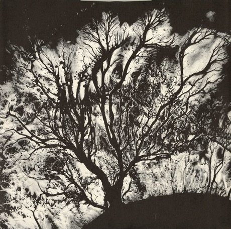 Naakte gelekte OnlyFans-foto van Luna