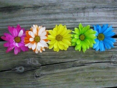 Naken lekkede OnlyFans-bilde av Kate