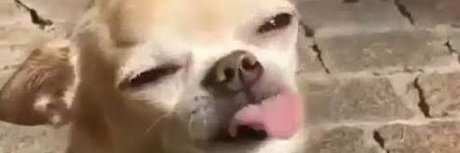 Foto desnuda filtrada de OnlyFans de Your Bibi