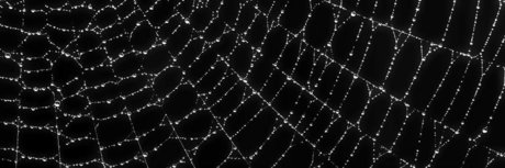 Ry Gravez  Free OnlyFansリークヌード写真