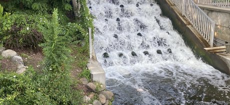 Foto di nudo di fuga di OnlyFans di Bthe Fairy 