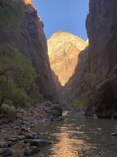 Alasti lekkinud OnlyFans-i pilt Alpacka