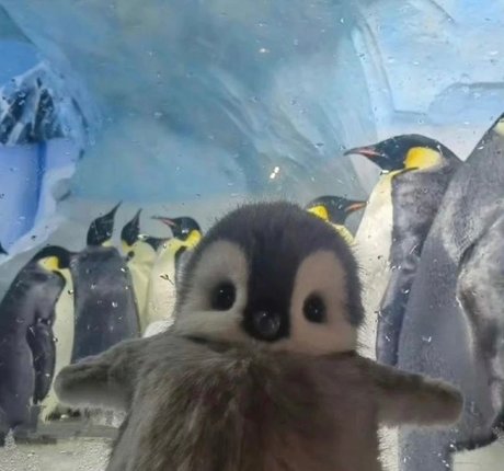 Nahá fotka uniklých OnlyFans od  Dd 