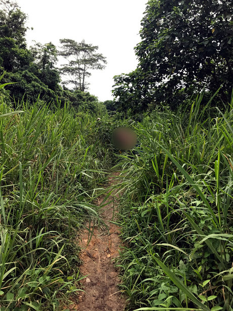 Обнаженная фотография утечки OnlyFans от Dashy