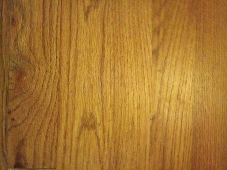 OnlyFans-model Dirty Dann