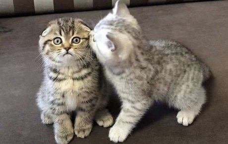 Nahá fotka uniklých OnlyFans od Nana