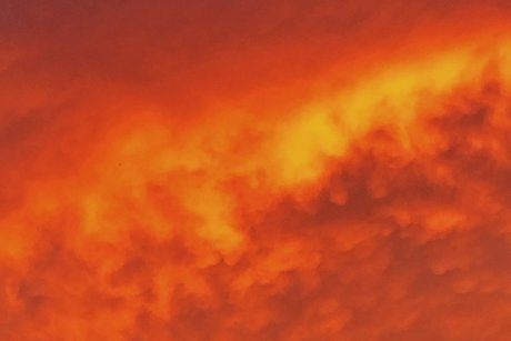 OnlyFans-model Naturalnaturegrl