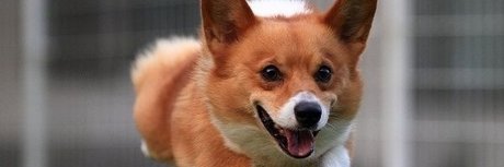 Alasti lekkinud OnlyFans-i pilt Summer Horror Party