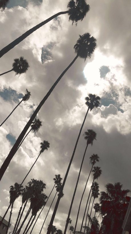 Foto di nudo di fuga di OnlyFans di Erick