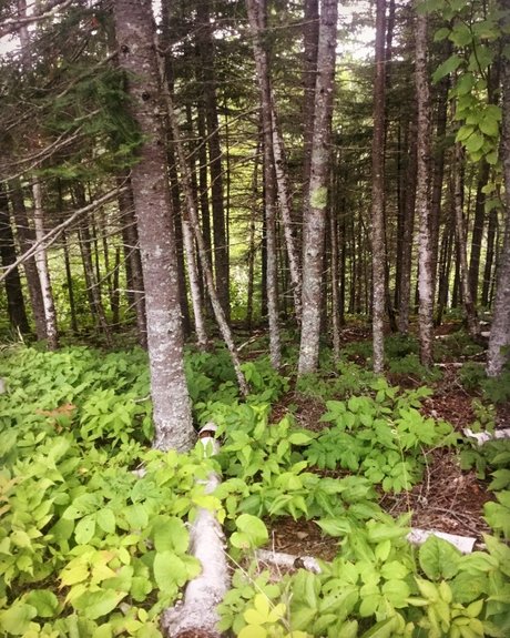 Chrissy  naked leaks OnlyFans pic