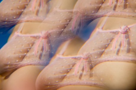 Nacktes geleaktes OnlyFans-Foto von Dafne Fairy