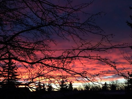 OnlyFans-model Alices  Wonderland 