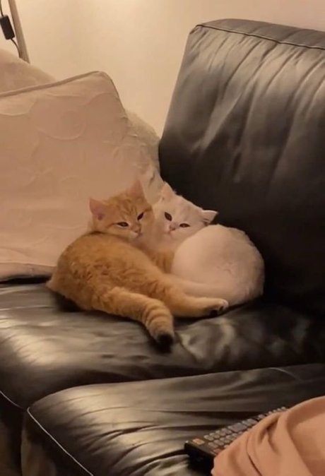 Alasti lekkinud OnlyFans-i pilt Creme