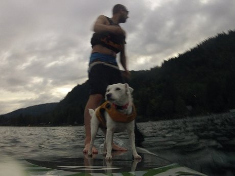 Обнаженная фотография утечки OnlyFans от Auston Olapas