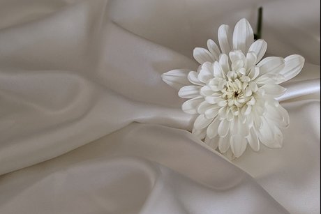 OnlyFans-model Aisha Love