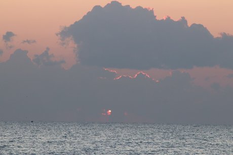 OnlyFans-model Bby Steph