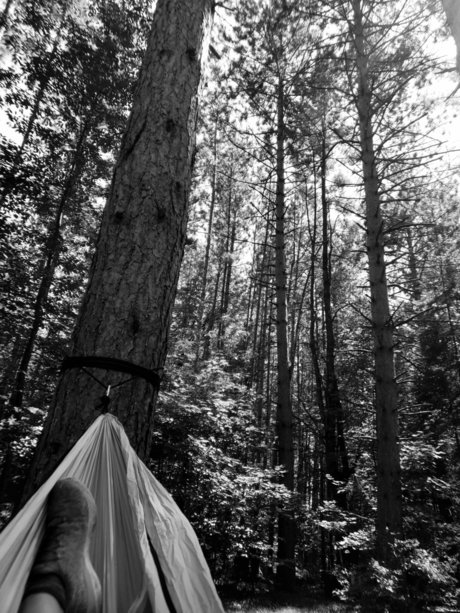 Nikki Starz OnlyFansリークヌード写真