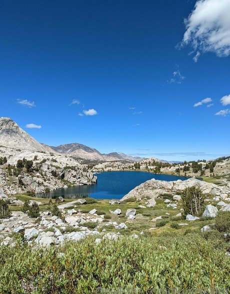 Naken lekkede OnlyFans-bilde av Hungskater