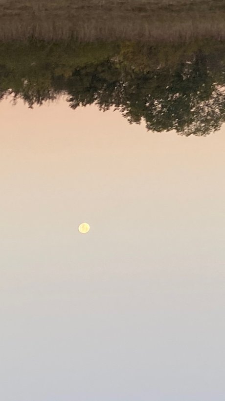 OnlyFans-model Giani