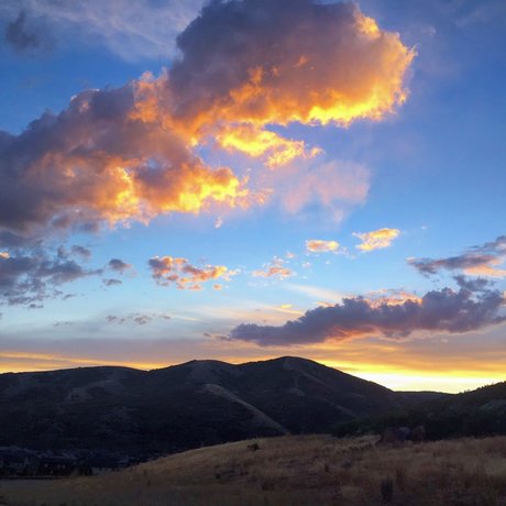 OnlyFans-model Alexander Mecum