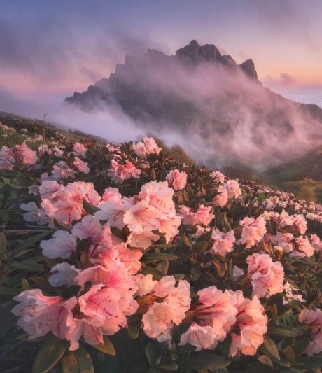 Alasti lekkinud OnlyFans-i pilt Alex