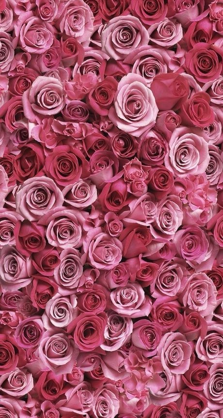 Sandra Dee naked leaks OnlyFans pic