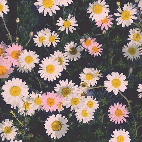 Alasti lekkinud OnlyFans-i pilt Ally Aimes 