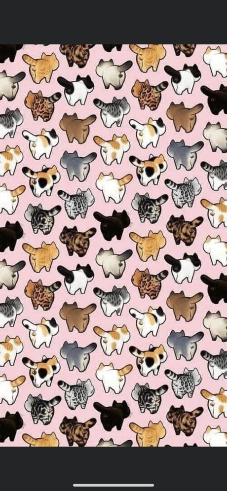 Photo nue de fuite OnlyFans de Mueca