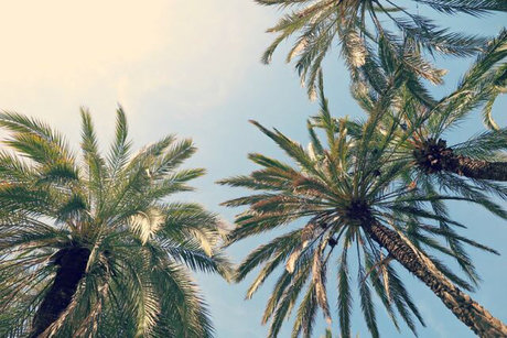 Photo nue de fuite OnlyFans de Tootiee