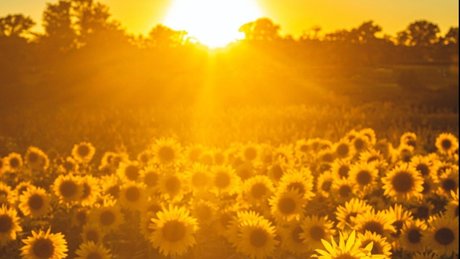 Alasti lekkinud OnlyFans-i pilt Oh Miya Xxx 