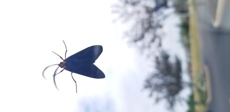 Nahá fotka uniklých OnlyFans od Elizabeth