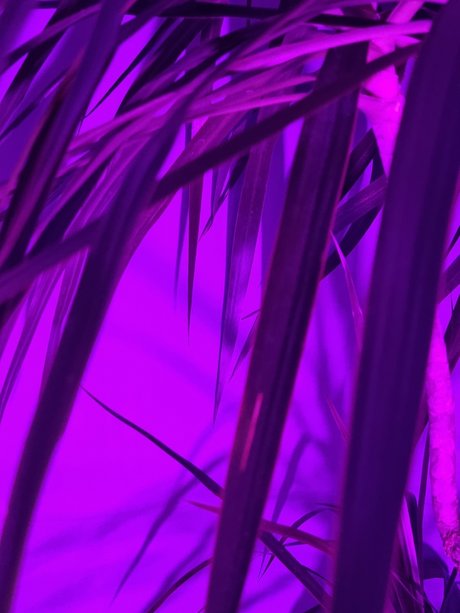 Foto di nudo di fuga di OnlyFans di Hugo