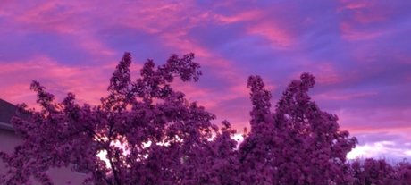 OnlyFans-model Orion